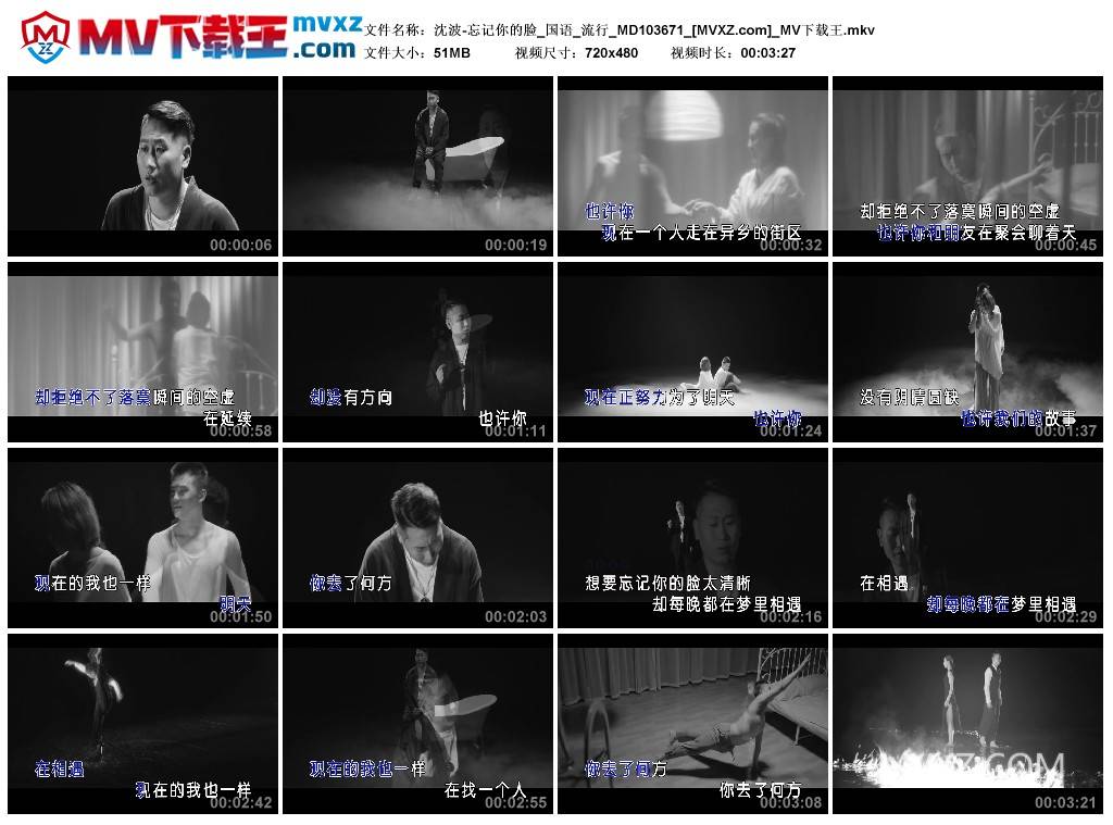 沈波-忘记你的脸_国语_流行_MD103671